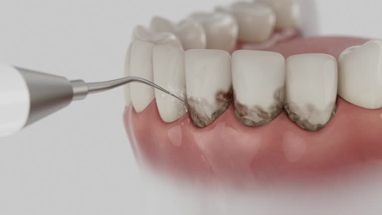 Reliable Dental contractor in Scotts Hill, TN by Dentist Open Now